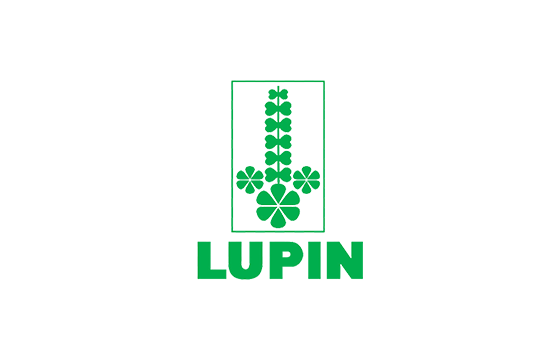 Lupin